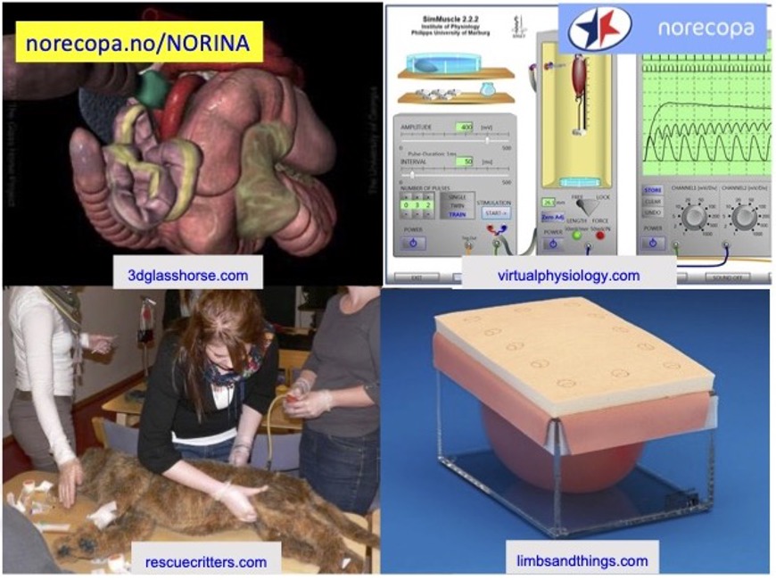 Norinapics Norinapics